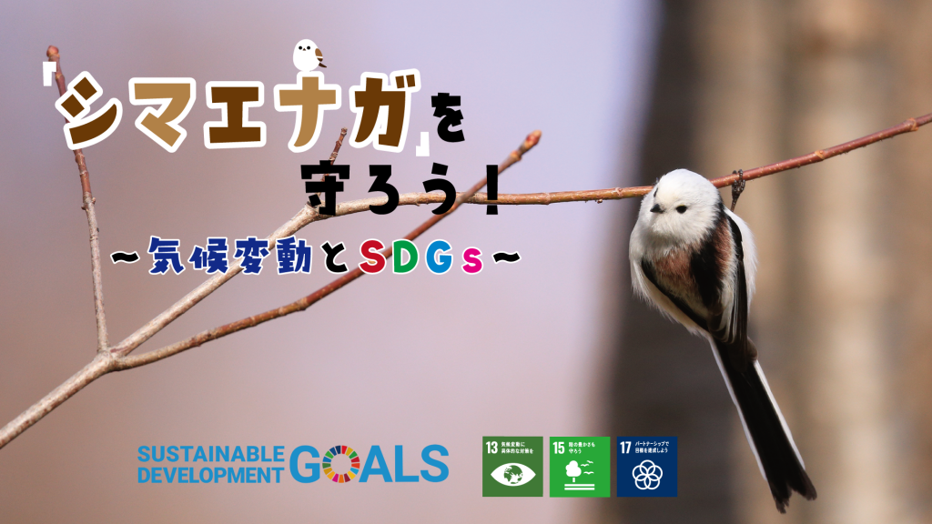 『「シマエナガ」を守ろう！～気候変動とSDGs～②』実施しました