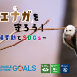 『「シマエナガ」を守ろう!~気候変動とSDGs~②』実施しました