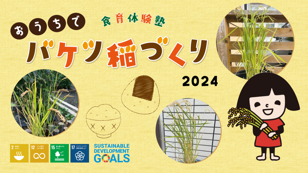 食育体験塾　おうちでバケツ稲づくり　「おこめ川柳」