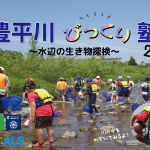 『豊平川びっくり塾~水辺の生き物探検③~』を実施しました