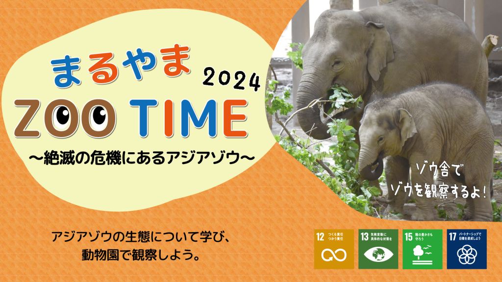 『まるやまZOO TIME～絶滅の危機にあるアジアゾウ～③』を実施しました。