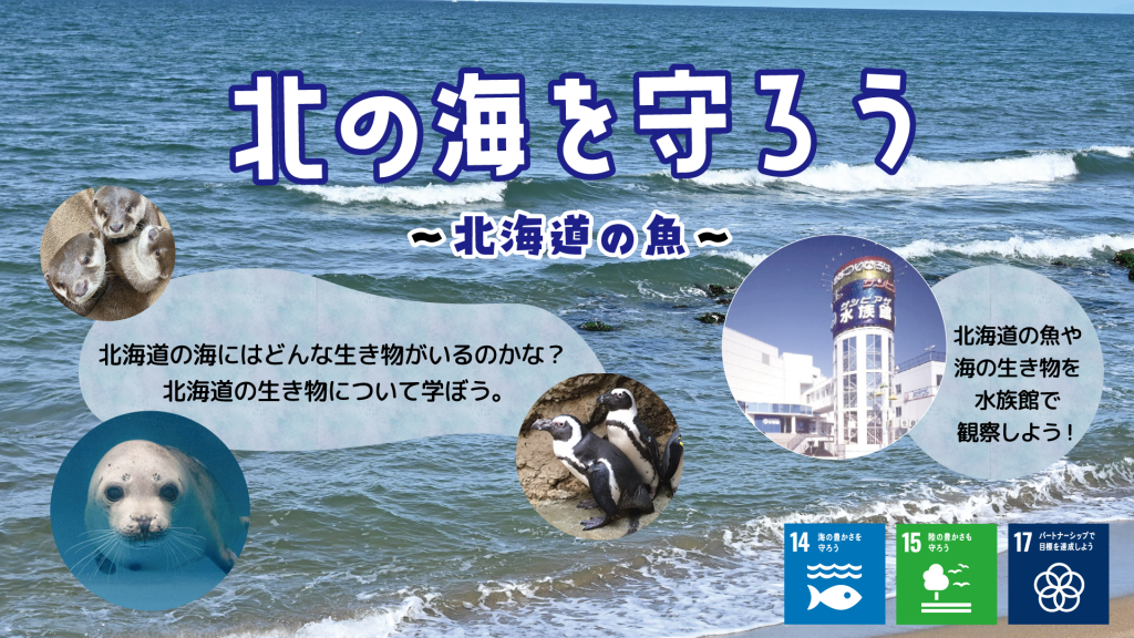 『北の海を守ろう～北海道の魚～③』を実施しました。