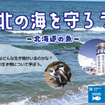 『北の海を守ろう～北海道の魚～③』を実施しました。