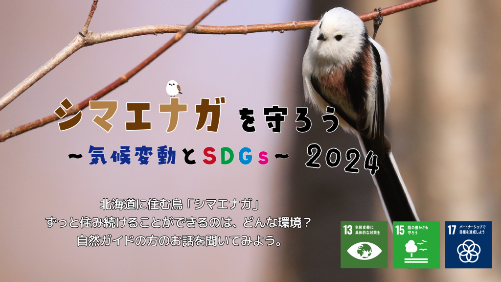 『シマエナガを守ろう～気候変動とSDGs～①』を実施しました