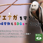 『シマエナガを守ろう~気候変動とSDGs~①』を実施しました