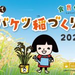 食育体験塾 おやこでバケツ稲づくり② 「お米料理」