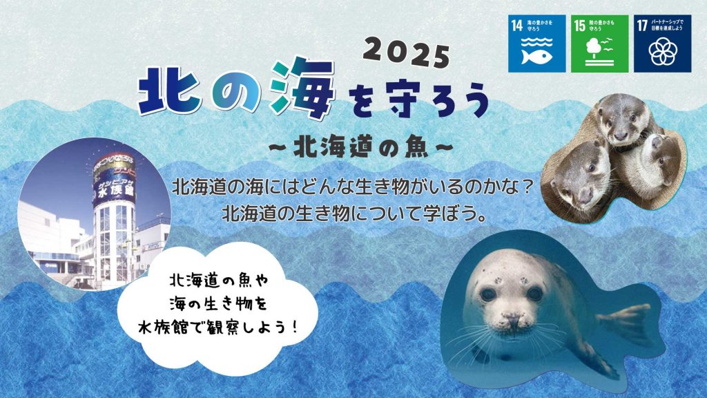 【札幌市】『北の海を守ろう～北海道の魚～2025』参加者募集