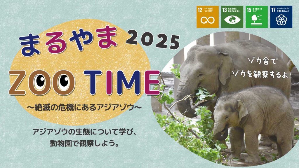 【札幌市】『まるやまZOO TIME～絶滅の危機にあるアジアゾウ～2025』参加者募集