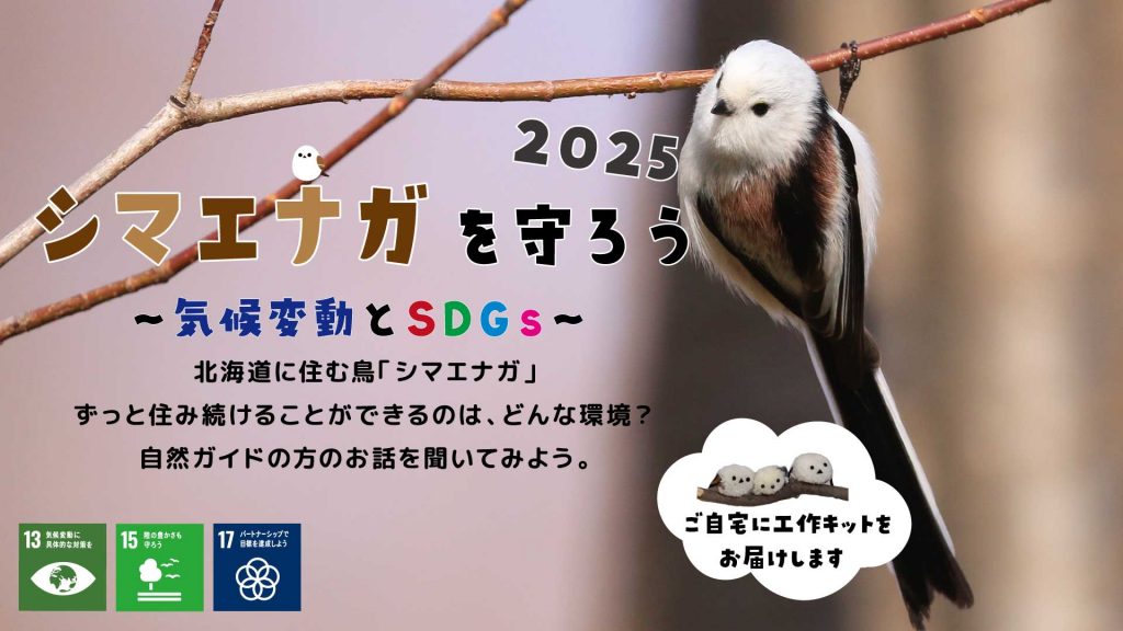 【札幌市】『シマエナガを守ろう～気候変動とSDGｓ～2025』参加者募集