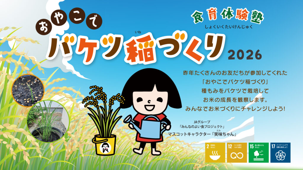 『食育体験塾 おやこでバケツ稲づくり①』を実施しました