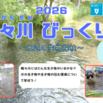 『鴨々川びっくり塾～水辺の生き物探検～①②』を実施しました