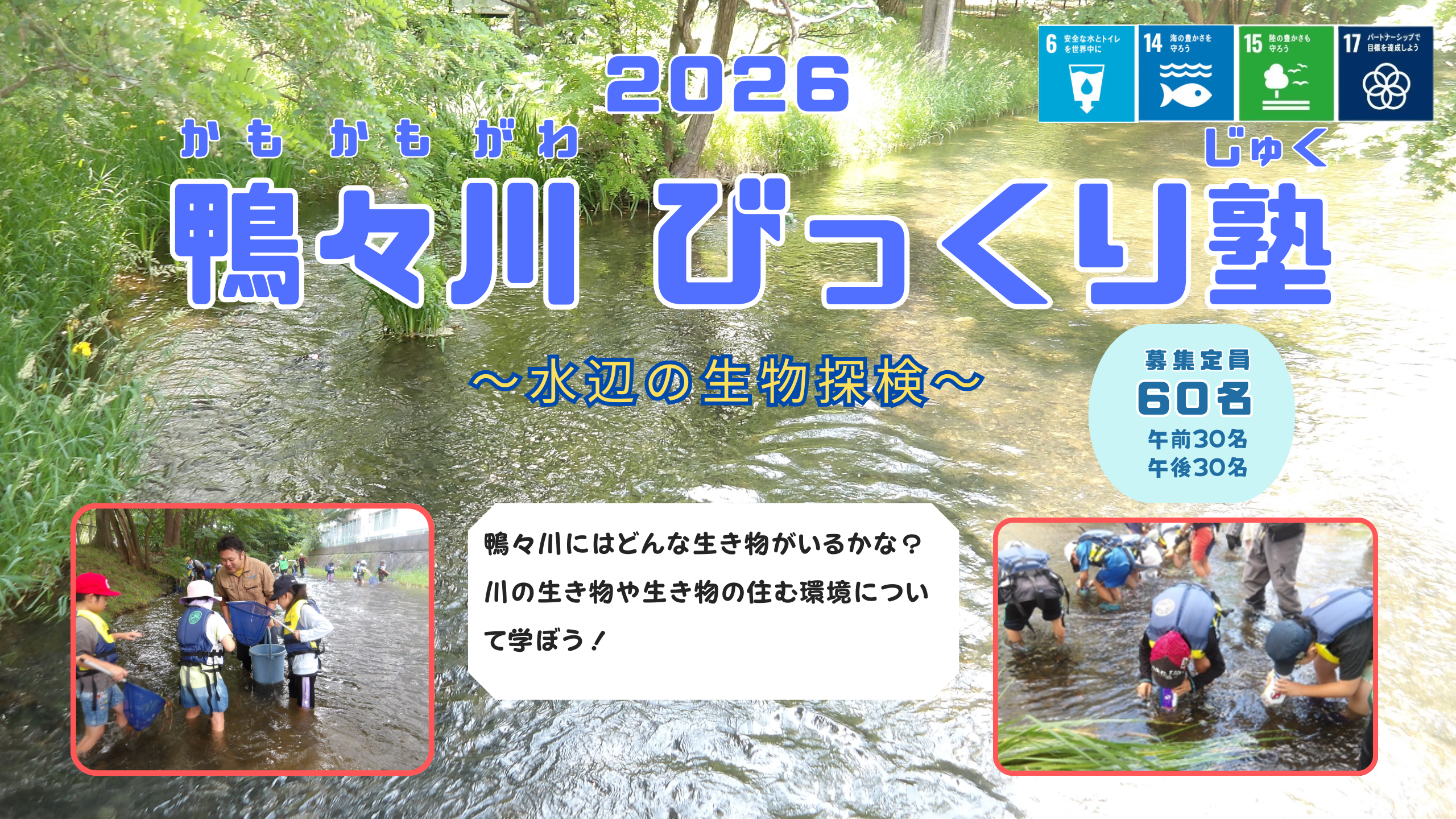 【札幌市】『鴨々川びっくり塾～水辺の生き物探検～  』参加者募集