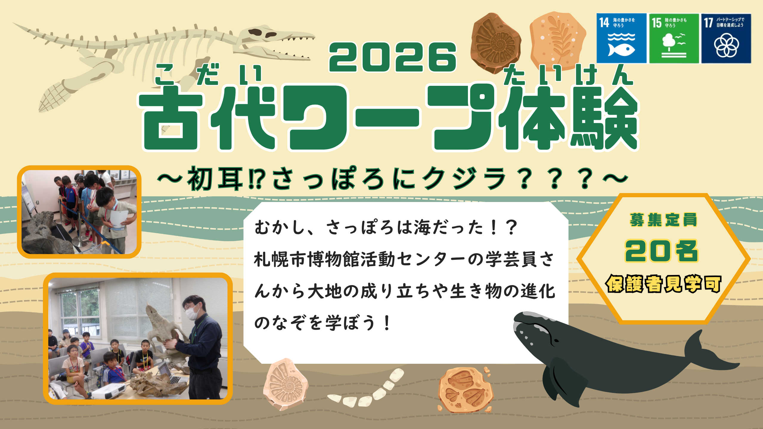【札幌市】『古代ワープ体験～ 初耳⁉さっぽろにクジラ？？？～ 』参加者募集